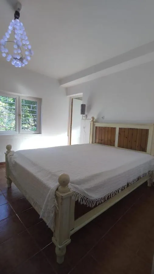 Estombar Novo Villa Portugal